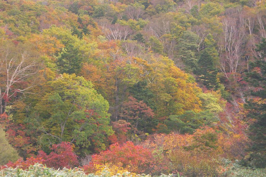 伊藤屋 Hotell Yamagata  Exteriör bild