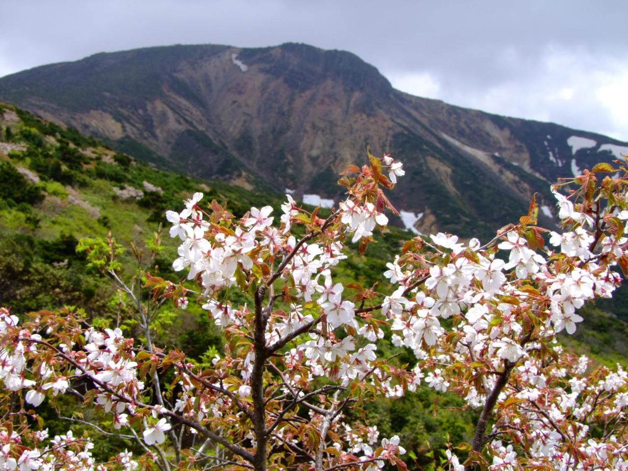 伊藤屋 Hotell Yamagata  Exteriör bild