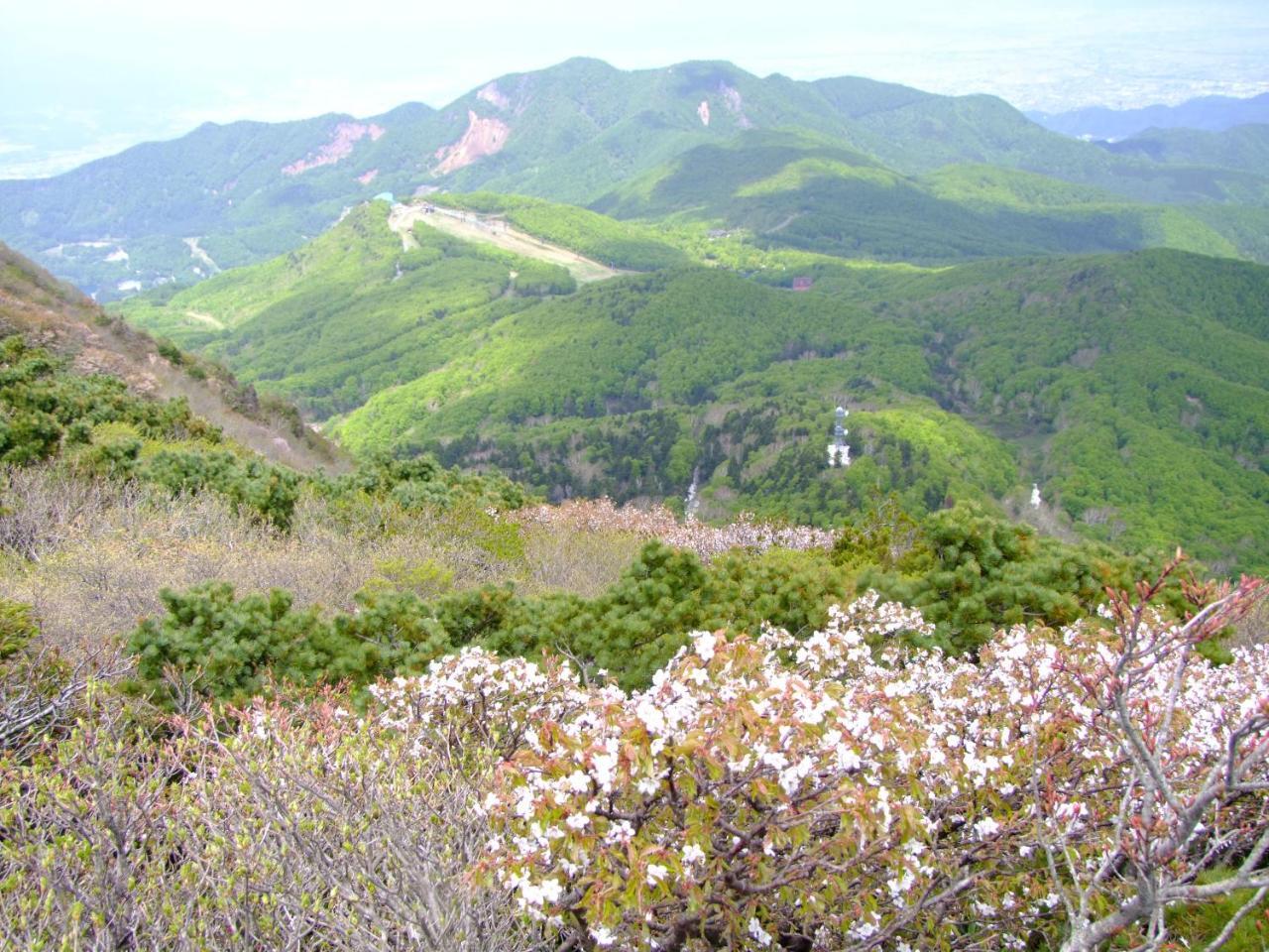 伊藤屋 Hotell Yamagata  Exteriör bild